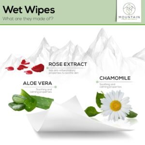STAY FRESH (60 Flushable Wipes to-Go) – PH Balanced, Travel sized, Unscented with Aloe, Chamomile and Rose extract.